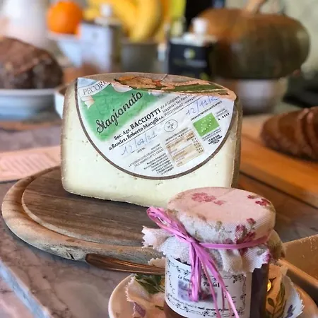 Bed & Breakfast Le Cannelle