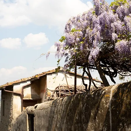Le Cannelle Fiesole